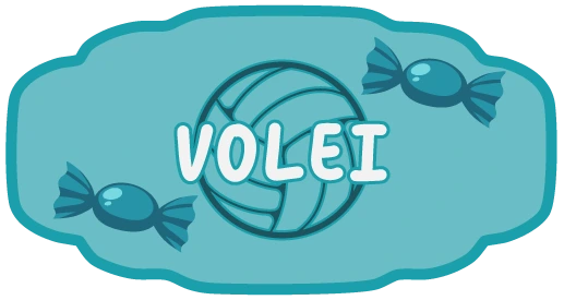 Campionat de volei Academia SpErantei